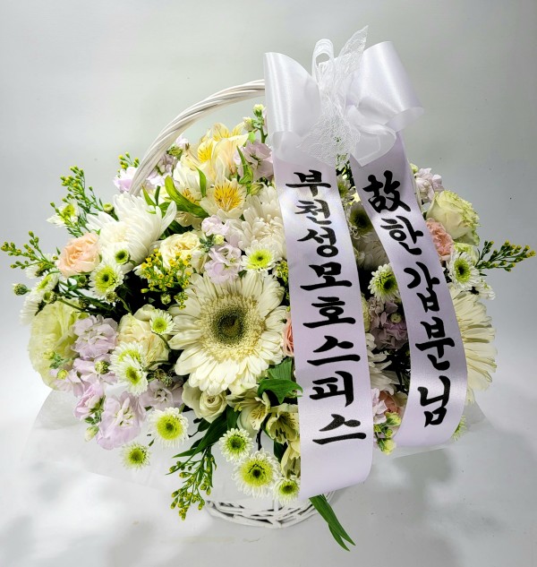 업로드 이미지