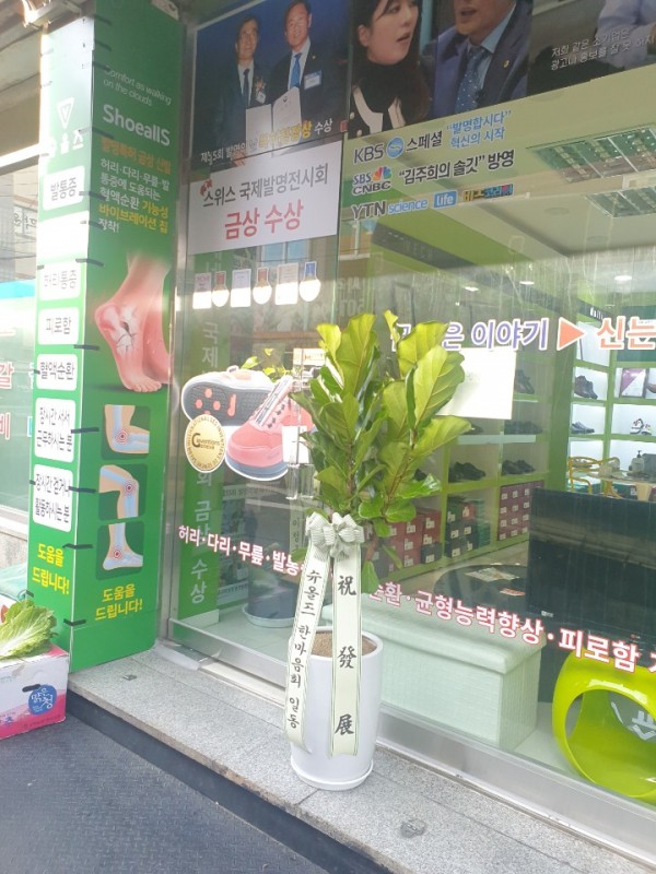 업로드 이미지