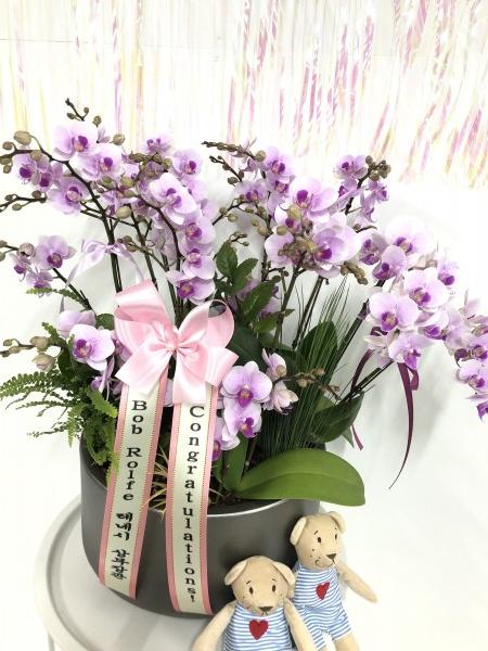 업로드 이미지