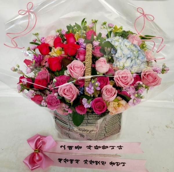 업로드 이미지