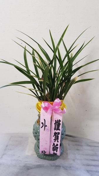 업로드 이미지