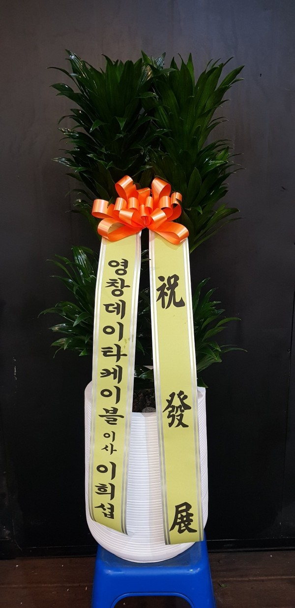 업로드 이미지
