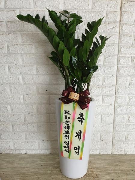 업로드 이미지