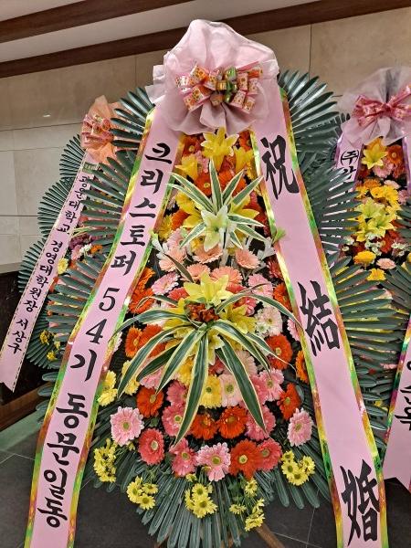 업로드 이미지