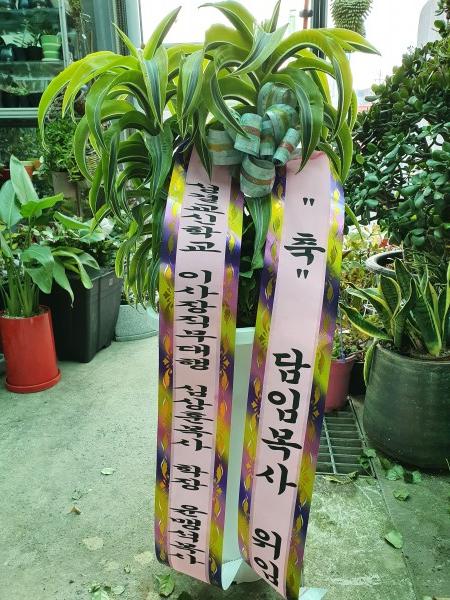 업로드 이미지