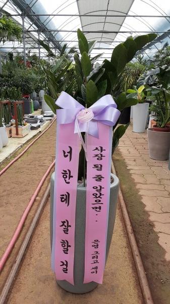 업로드 이미지