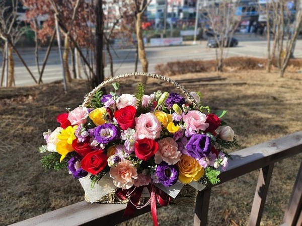 업로드 이미지