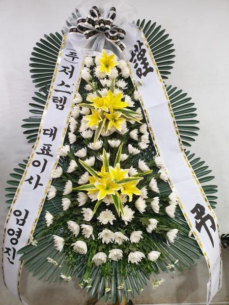 업로드 이미지