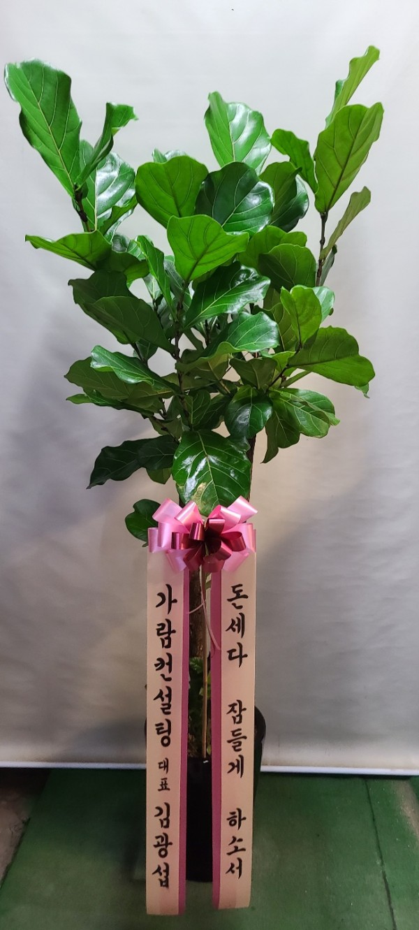 업로드 이미지