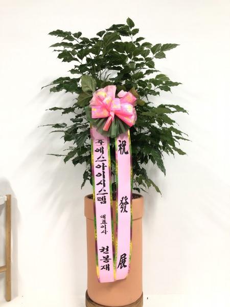 업로드 이미지