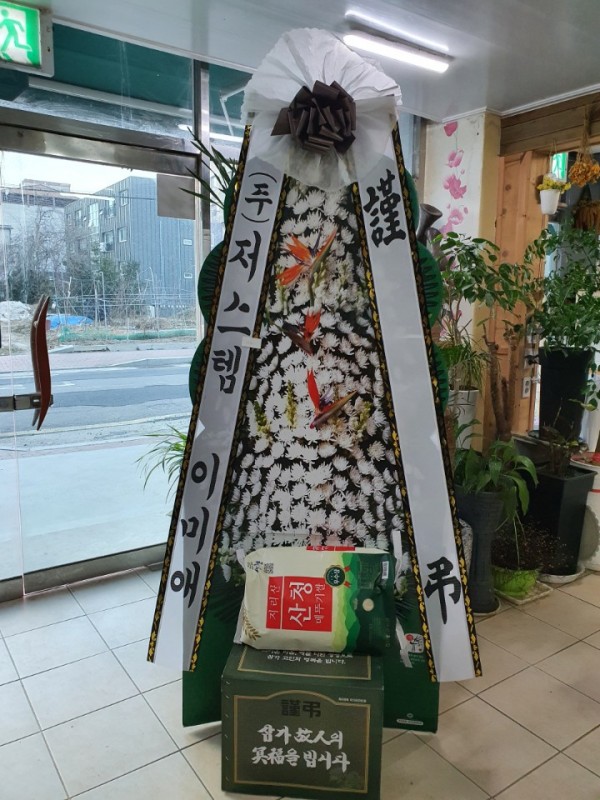 업로드 이미지