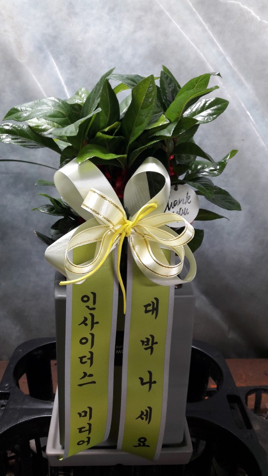 업로드 이미지