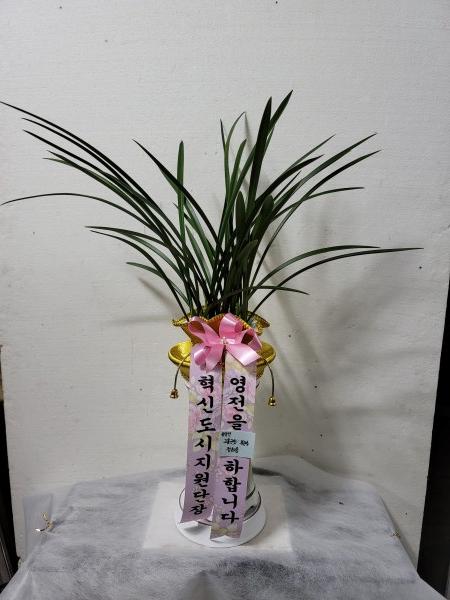 업로드 이미지