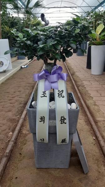 업로드 이미지