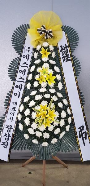 업로드 이미지