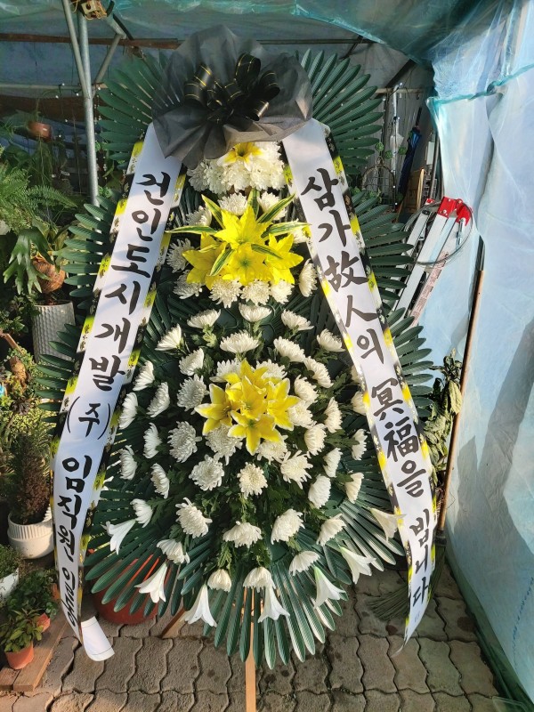 업로드 이미지
