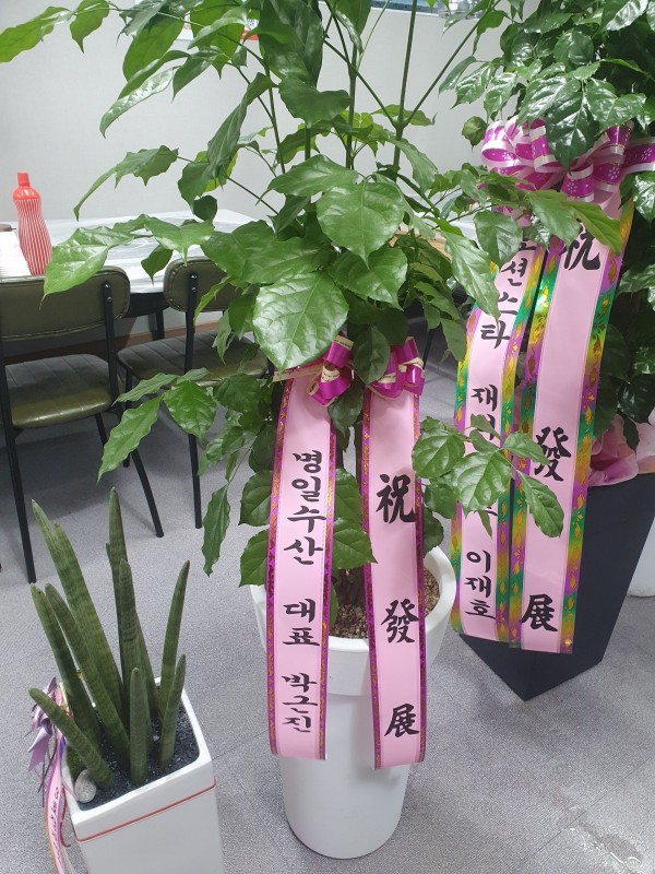 업로드 이미지
