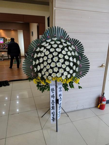 업로드 이미지