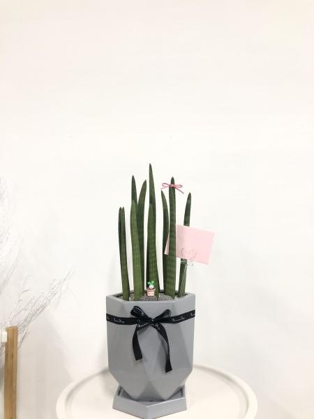 업로드 이미지