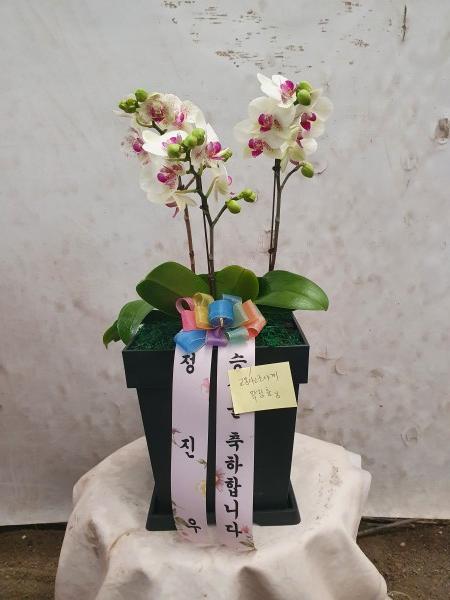 업로드 이미지