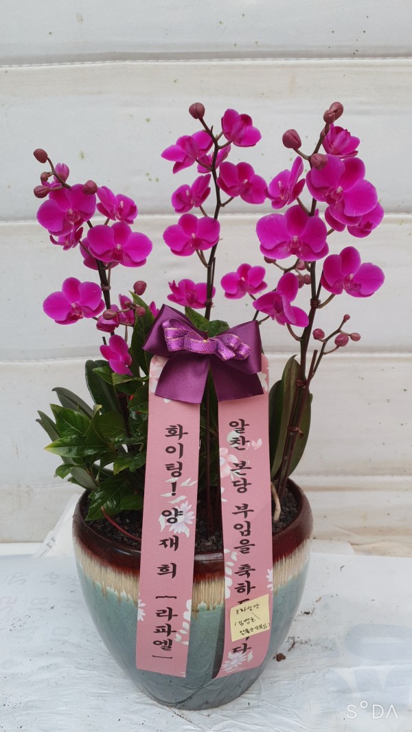 업로드 이미지