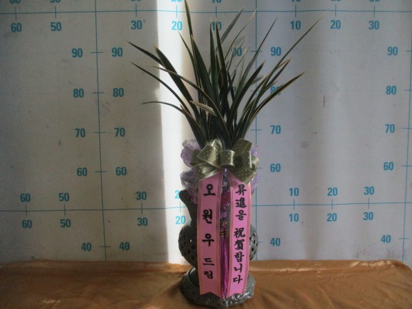 업로드 이미지