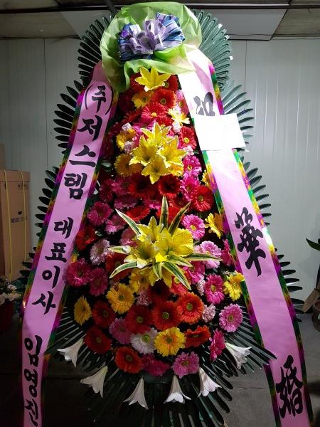 업로드 이미지