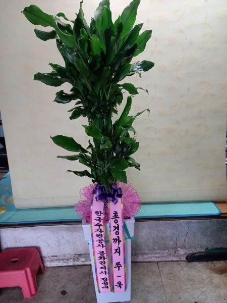업로드 이미지