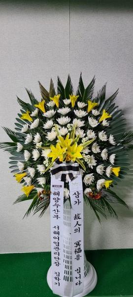 업로드 이미지