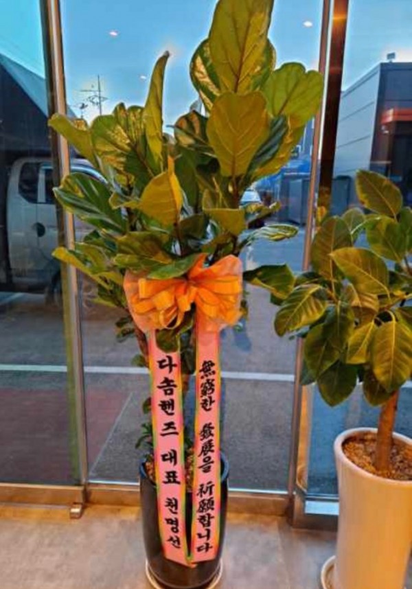 업로드 이미지