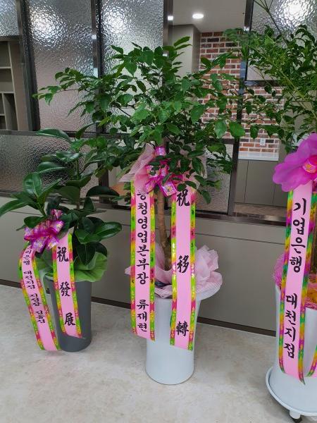 업로드 이미지