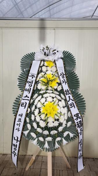 업로드 이미지