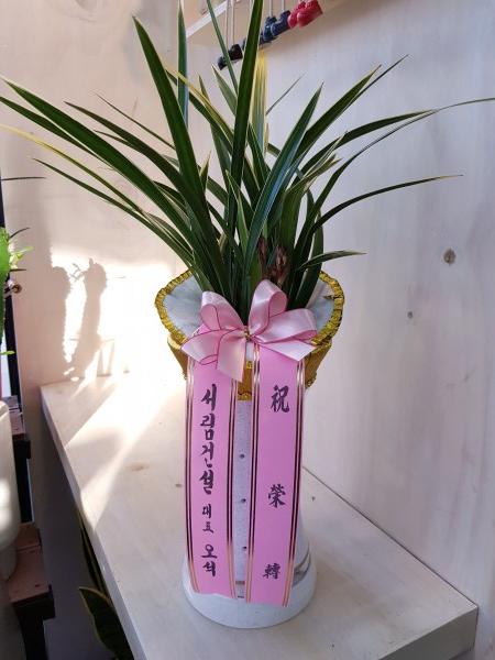 업로드 이미지