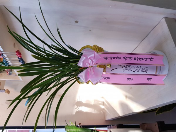 업로드 이미지