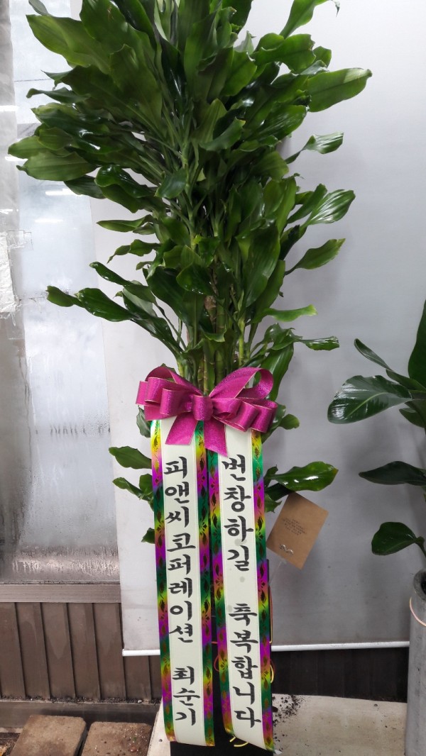업로드 이미지