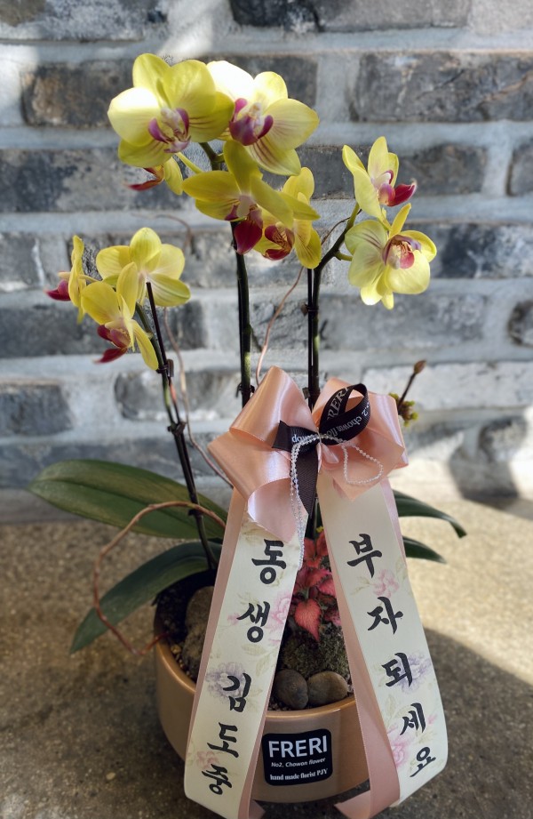 업로드 이미지
