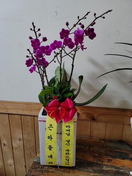 업로드 이미지