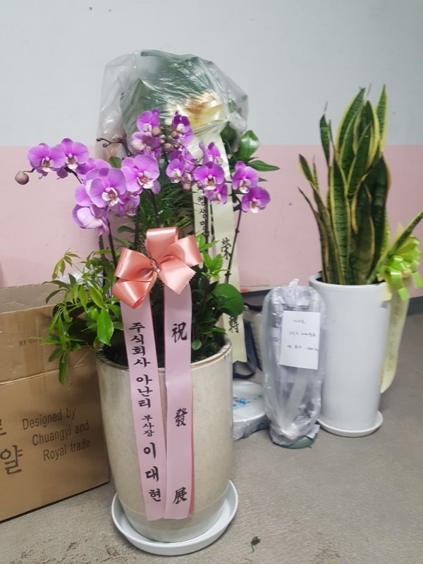 업로드 이미지