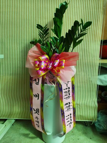 업로드 이미지