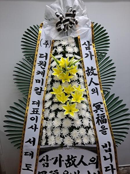업로드 이미지