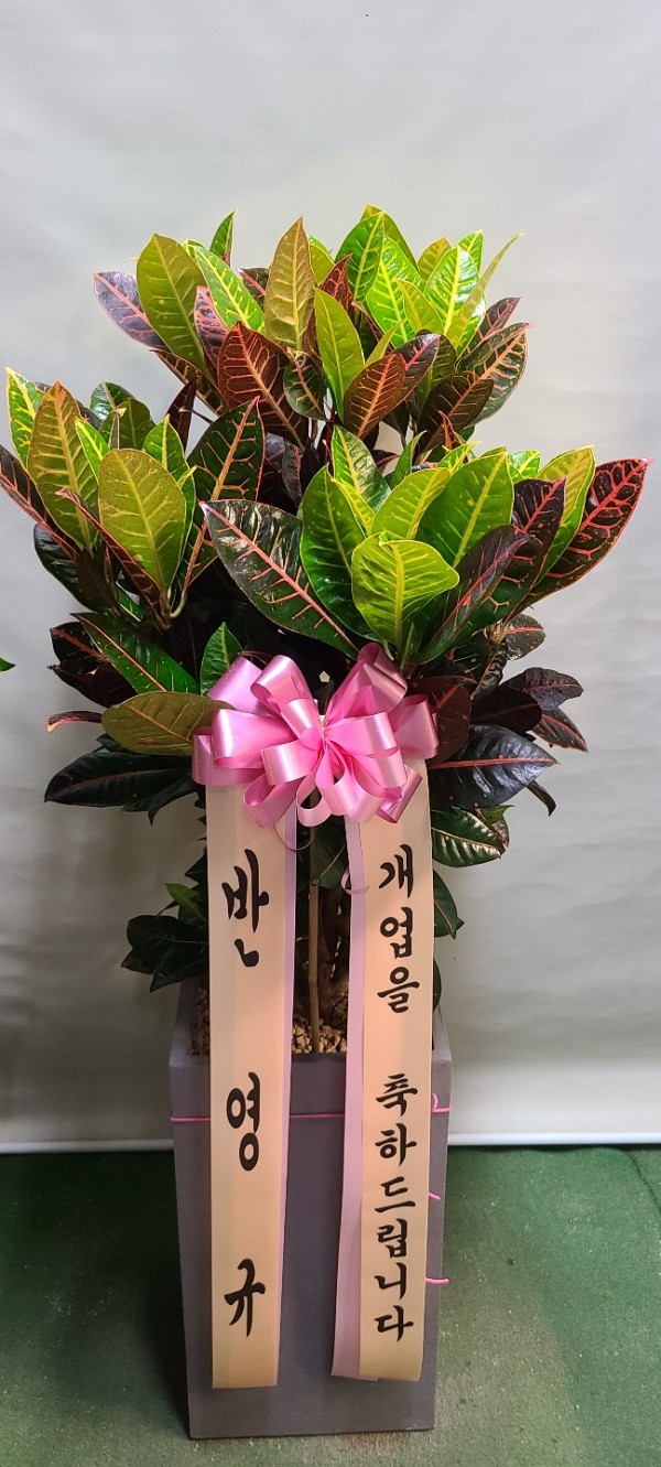 업로드 이미지