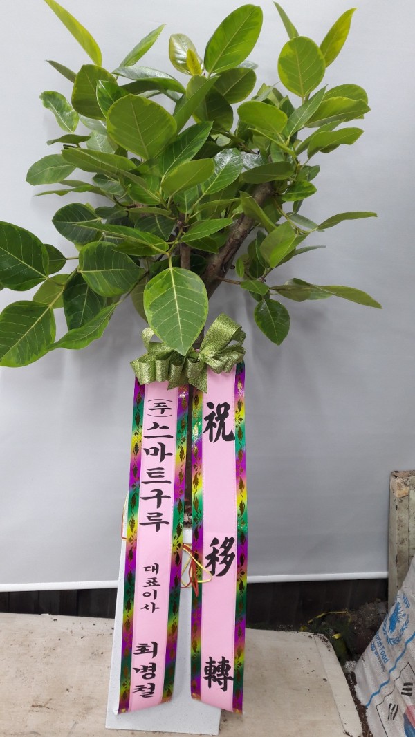 업로드 이미지