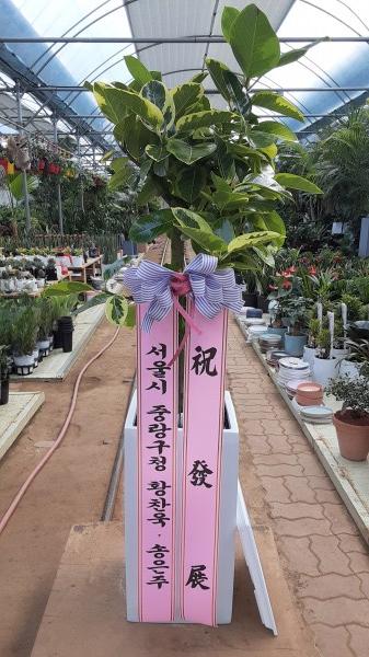업로드 이미지