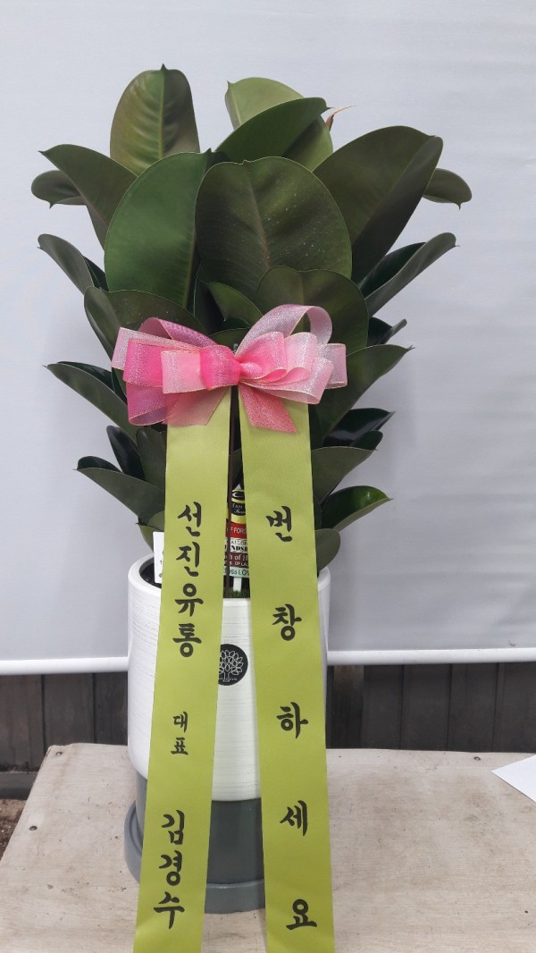업로드 이미지