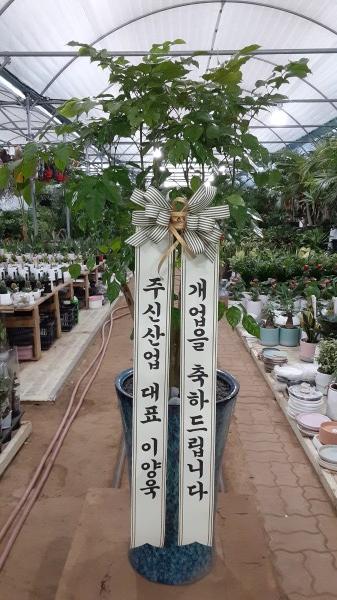 업로드 이미지