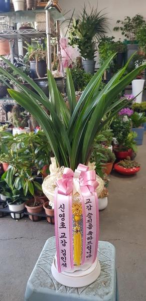 업로드 이미지