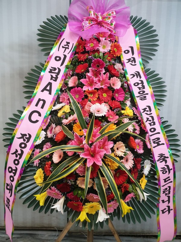업로드 이미지