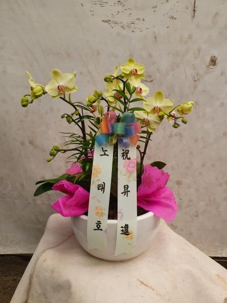업로드 이미지