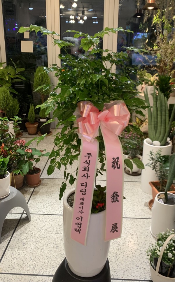업로드 이미지