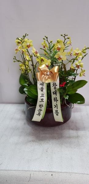 업로드 이미지